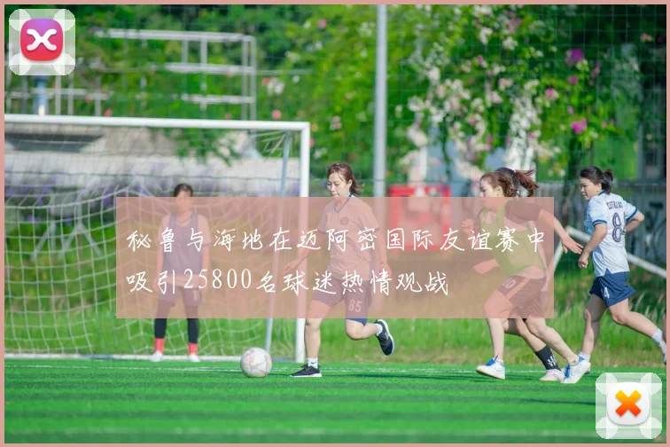 秘鲁与海地在迈阿密国际友谊赛中吸引25800名球迷热情观战